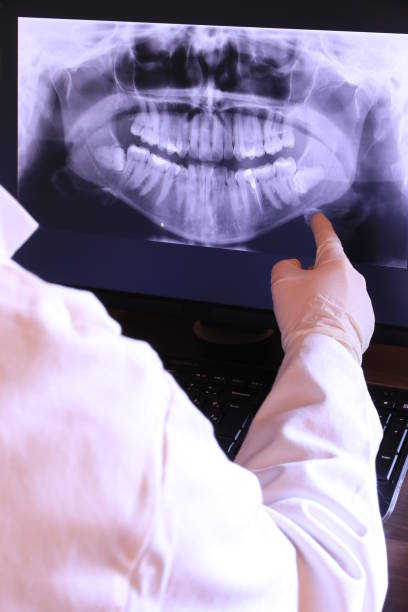 Best Broken or Chipped Tooth Repair in Saxapahaw, NC